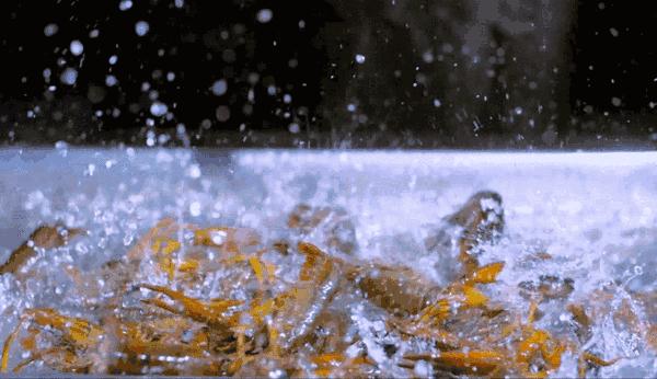 旅游天津周边哪好玩,天津旅游有海的地方