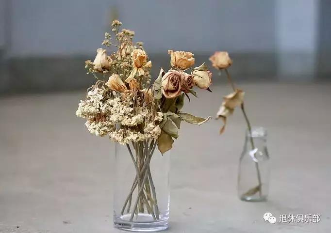 鲜花快枯萎了怎么变干花,枯萎的花先别扔