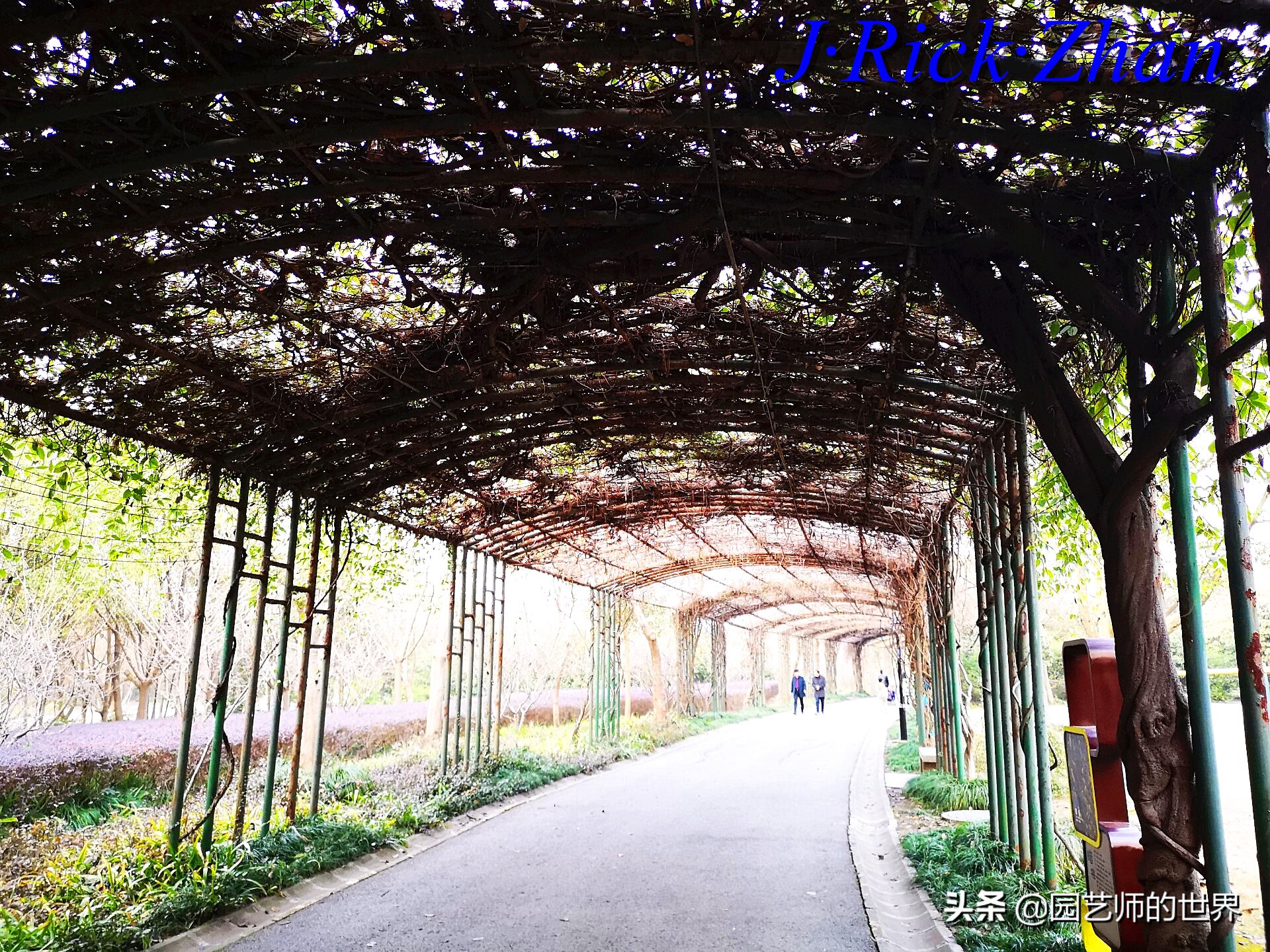 园艺现状和发展前景,园艺研学基地