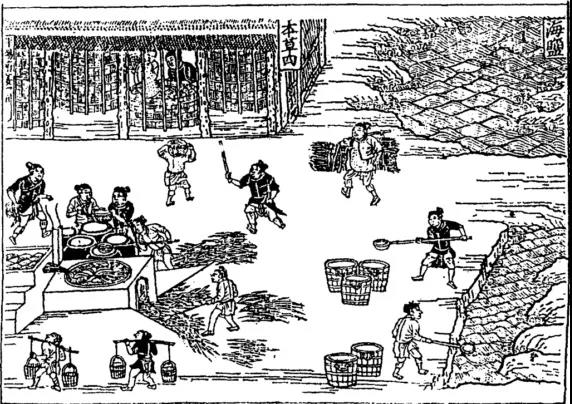 为什么浦东老地名中有这么多场、团、灶？原来与此有关