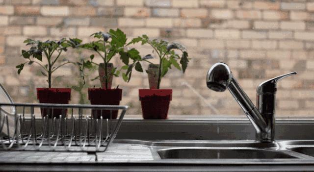 你是几月出生就注定你是什么性格,每月用什么花来代表人的性格