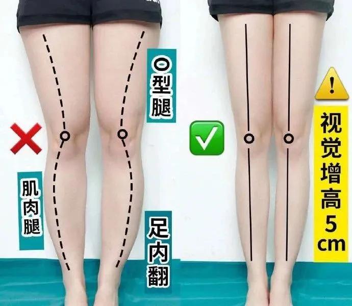 练腿最好的6个动作瘦腿力量训练,改善腿型小腿外翻锻炼
