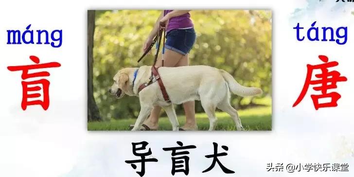 统编版三年级语文上册课后练习题,三年级上册语文练习题和参考答案