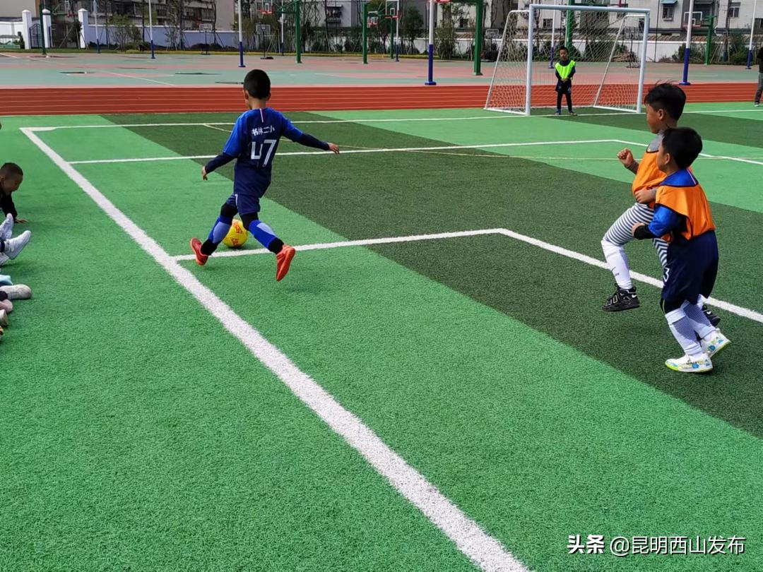激情绿茵,校园足球联赛精彩纷呈