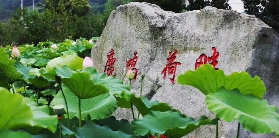 五朵金花抱团,彭州未来的发展