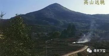 寿山石的入门知识,寿山石品种图片介绍