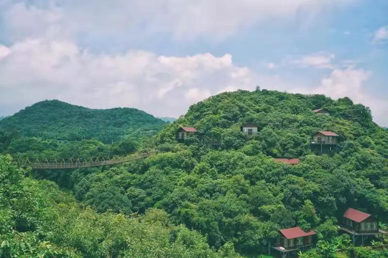 弥勒佛城在哪里,弥勒市佛城图片