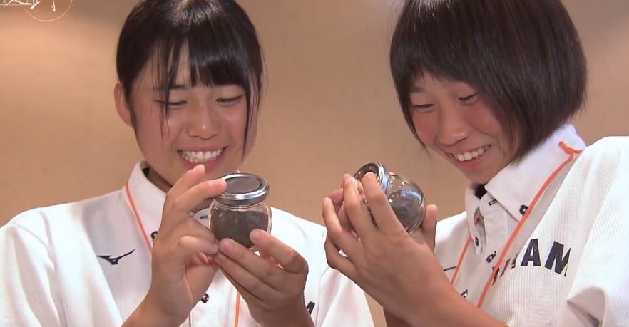 日本夏季甲子园停办,甲子园大哭