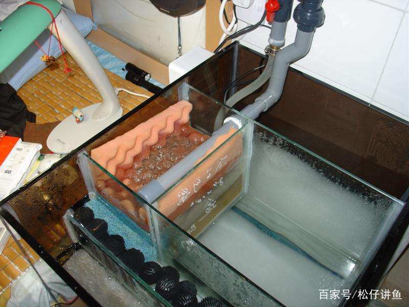 鱼缸过滤选择有哪些技巧,鱼缸底过滤什么方式最好