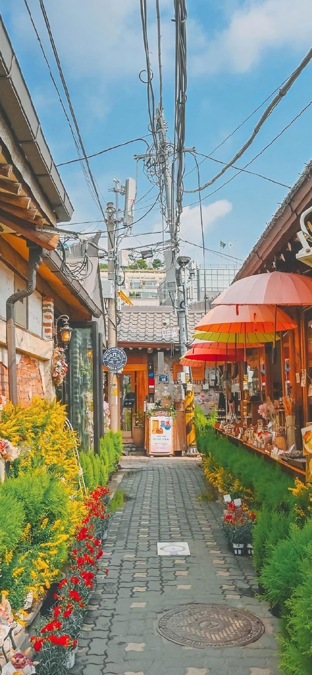 热门壁纸134期,快收藏高质量壁纸合集