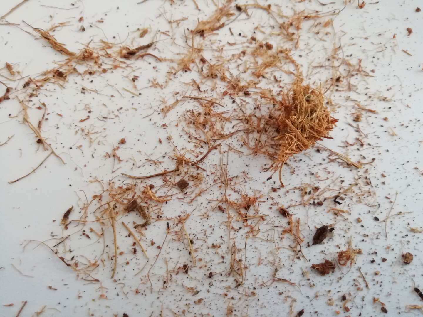 什么品牌的床垫棕垫质量最好,弹簧加棕垫好还是全棕床垫好