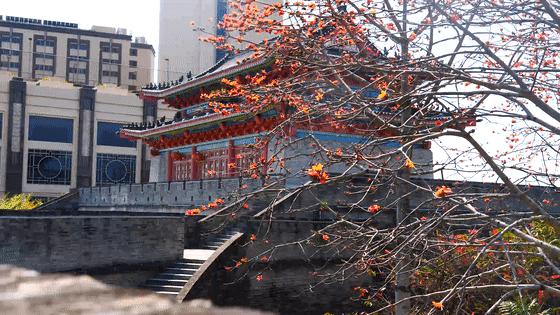 惠州适合亲子游的宝藏胜地,惠州宝藏打卡地