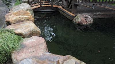 洗车神器到底值不值得买,最好用的洗车神器测评