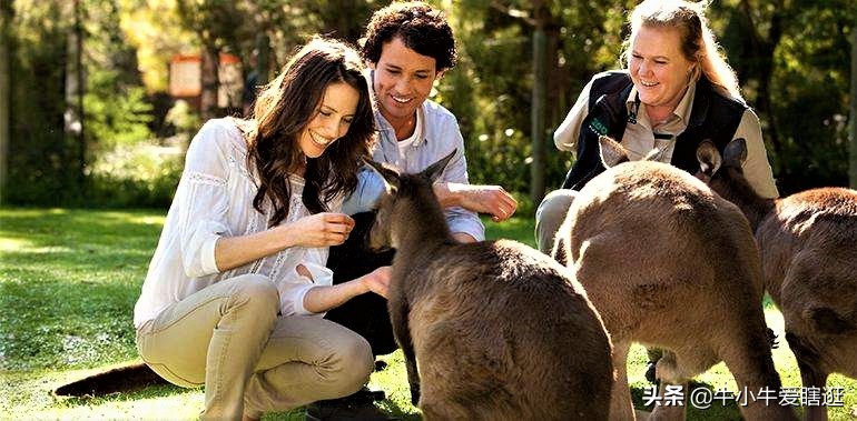 悉尼7日游自由行攻略,澳洲阿德莱德旅游攻略