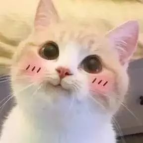 昆山酒店团购3天2夜五一,昆山酒店2晚抖音团购