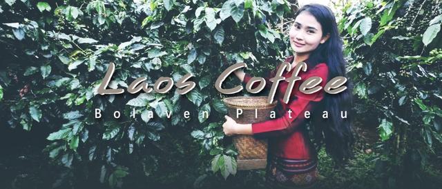 全世界十大咖啡,全世界最好的咖啡沙巴