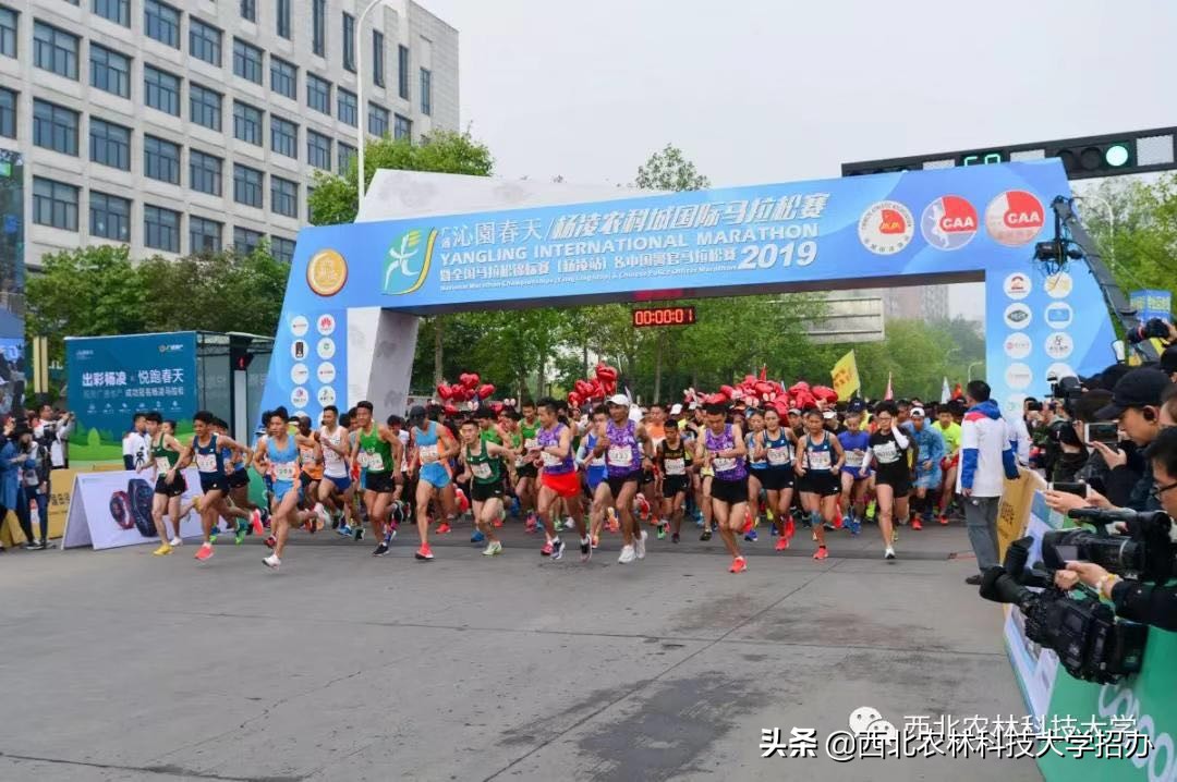 一所大学就是一座城！让你爱上西北农林科技大学的5大理由