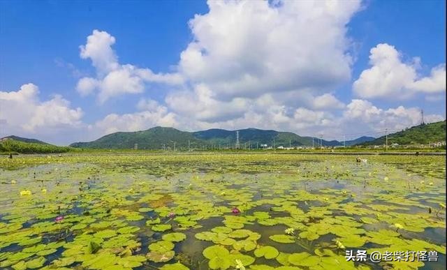 宁波北仑各镇排名,宁波北仑港排名
