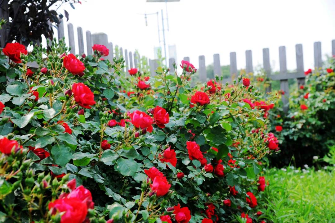 锦州世博园自由行,锦州世博园攻略