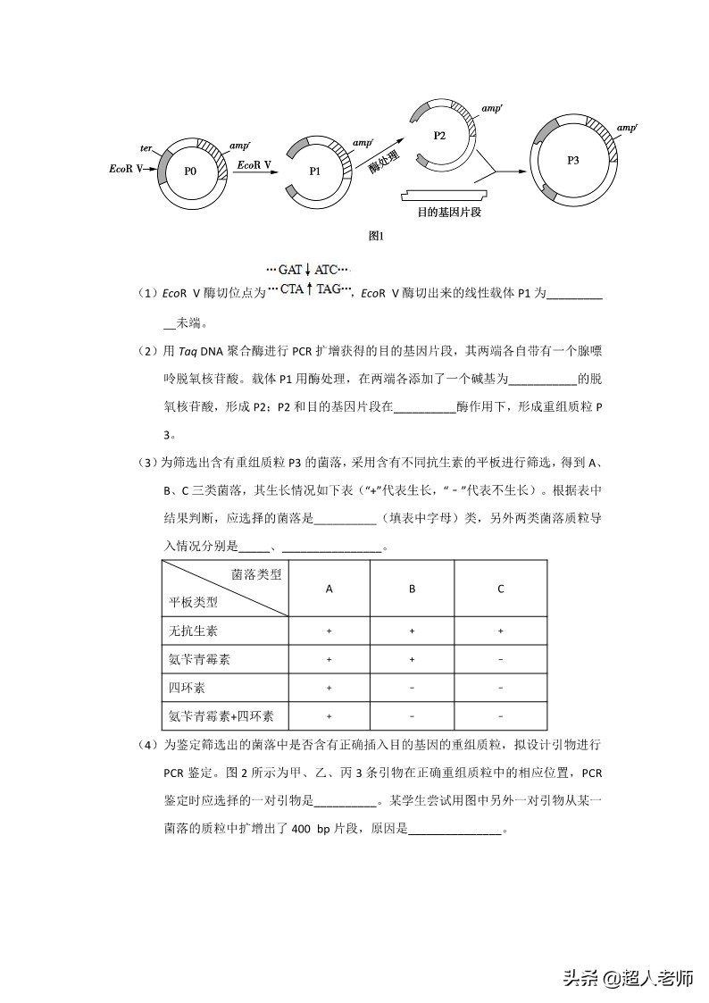 2021全甲卷生物试题及答案,2020年生物高考3卷真题及答案