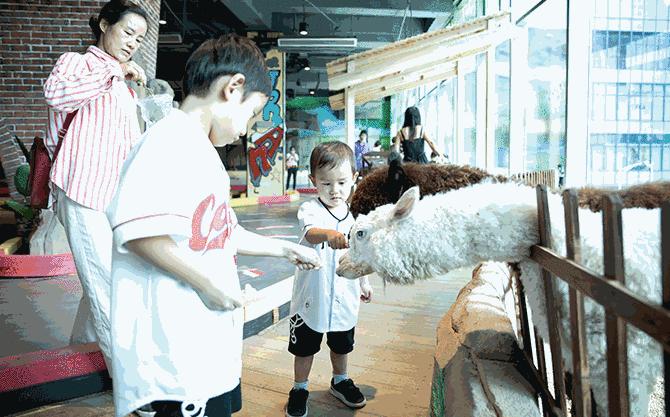 深圳最大的室内游乐场,深圳适合小孩玩的游乐场