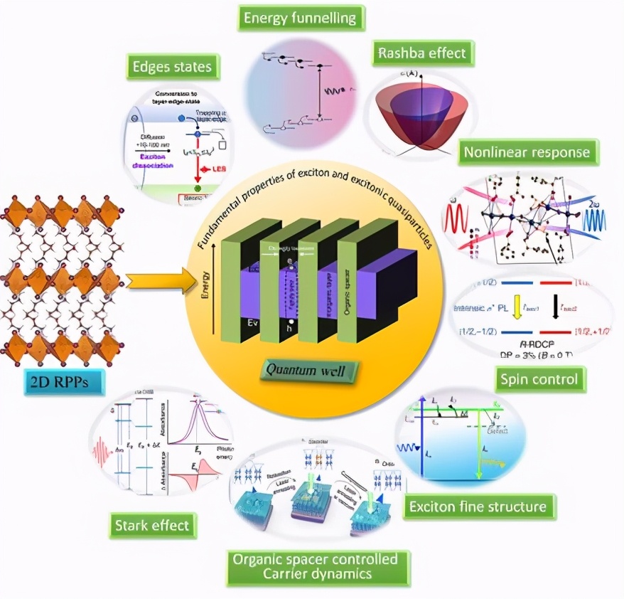 南师大的专项技术有哪些,南大科研成果入选十大科技进展