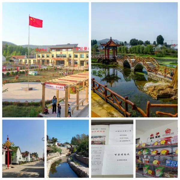 临沂市平邑、沂水三项经验做法在全省推广