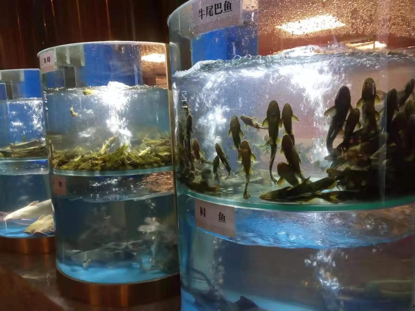 自然元素全集,自然元素在哪看