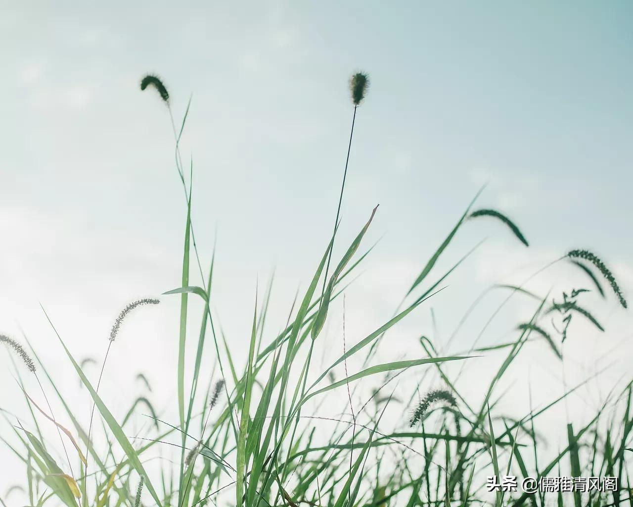 微小说最心酸的秘密,微小说秘密情人