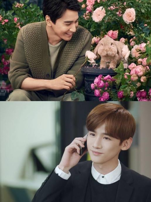 职场精英赵又廷VS职场小白,职场之路如何双赢