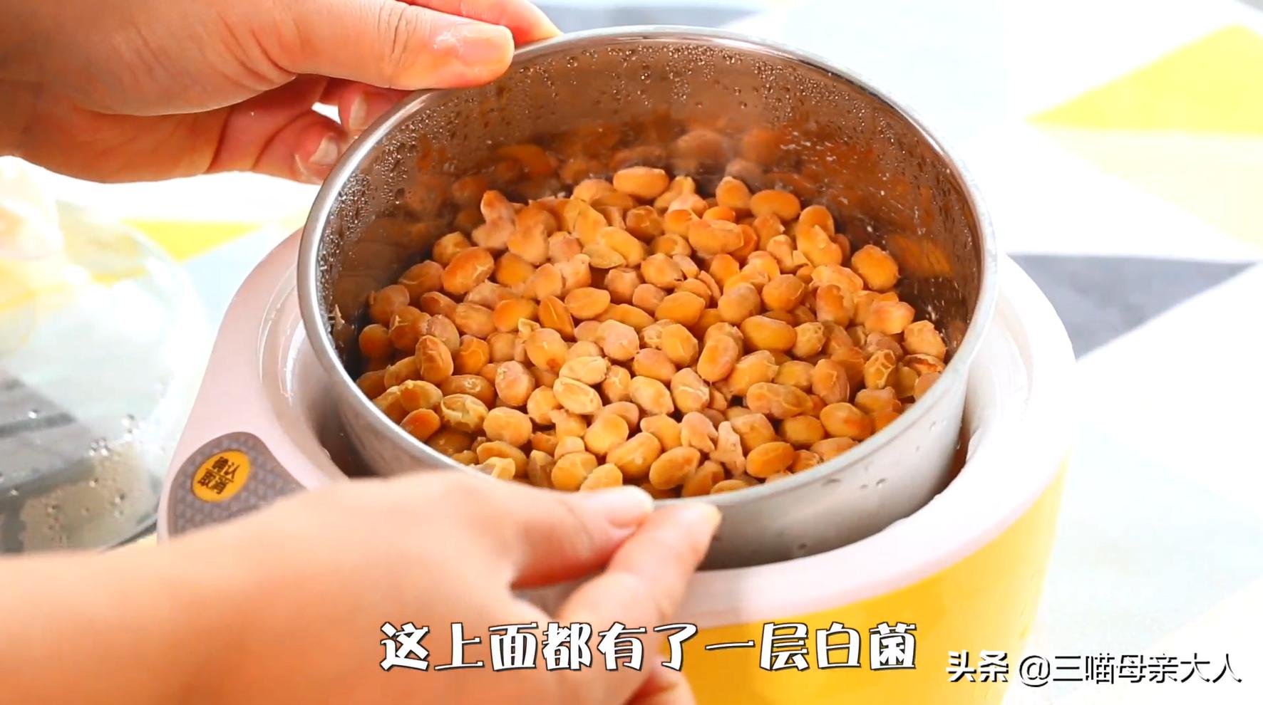 如何用酸奶机做纳豆,怎么用酸奶机自制纳豆