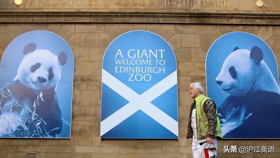 外国疫情下的大熊猫,英国大熊猫被送回中国