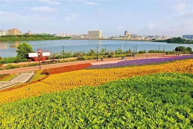 湖泊风景区推荐,深圳十大免费主题公园