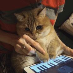 「JALOUSE」有一说一，我确实馋他们的身子