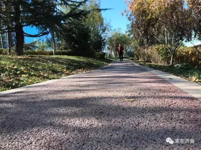 济南领秀城柏石峪,济南领秀城