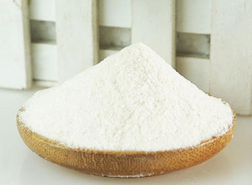 泰迪月经来了不吃东西,泰迪来例假20多天了