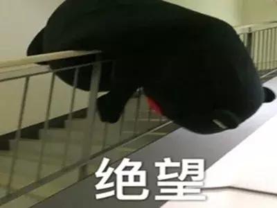 敞口杯和鸭嘴杯区别,吸管杯鸭嘴杯敞口杯