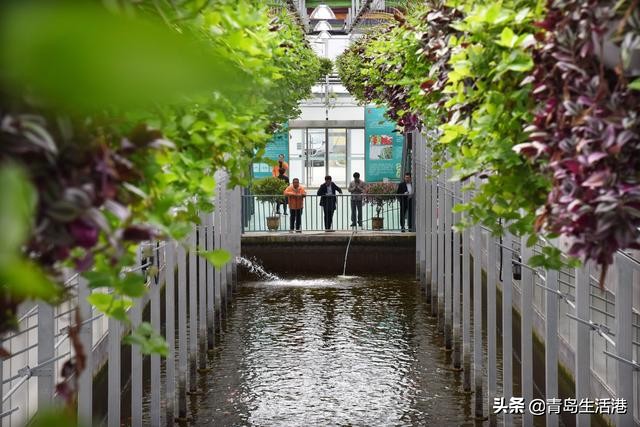 寿光蔬菜是怎么流通到全国各地的,寿光蔬菜都卖到哪些地方