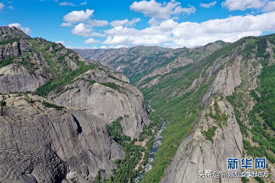 夏季的可可托海视频,夏天可可托海实拍