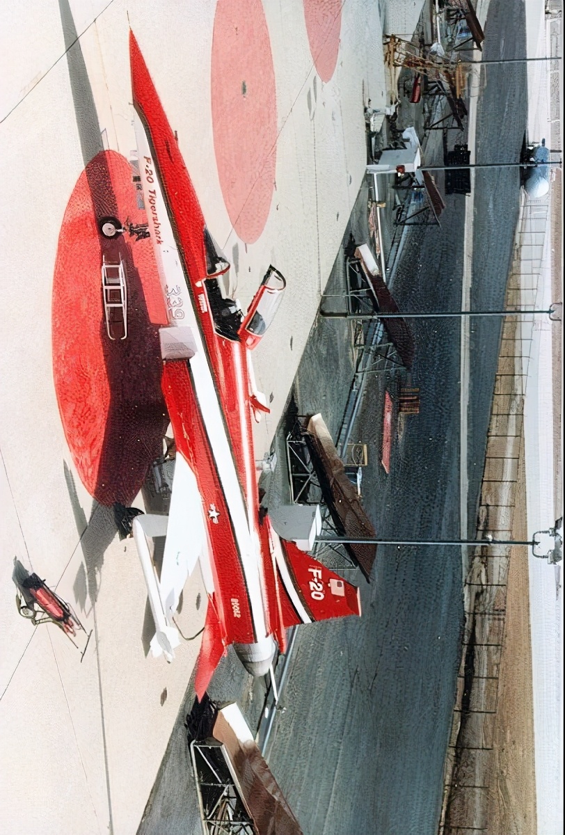 虎鲨悲剧,极富悲剧色彩的虎鲸