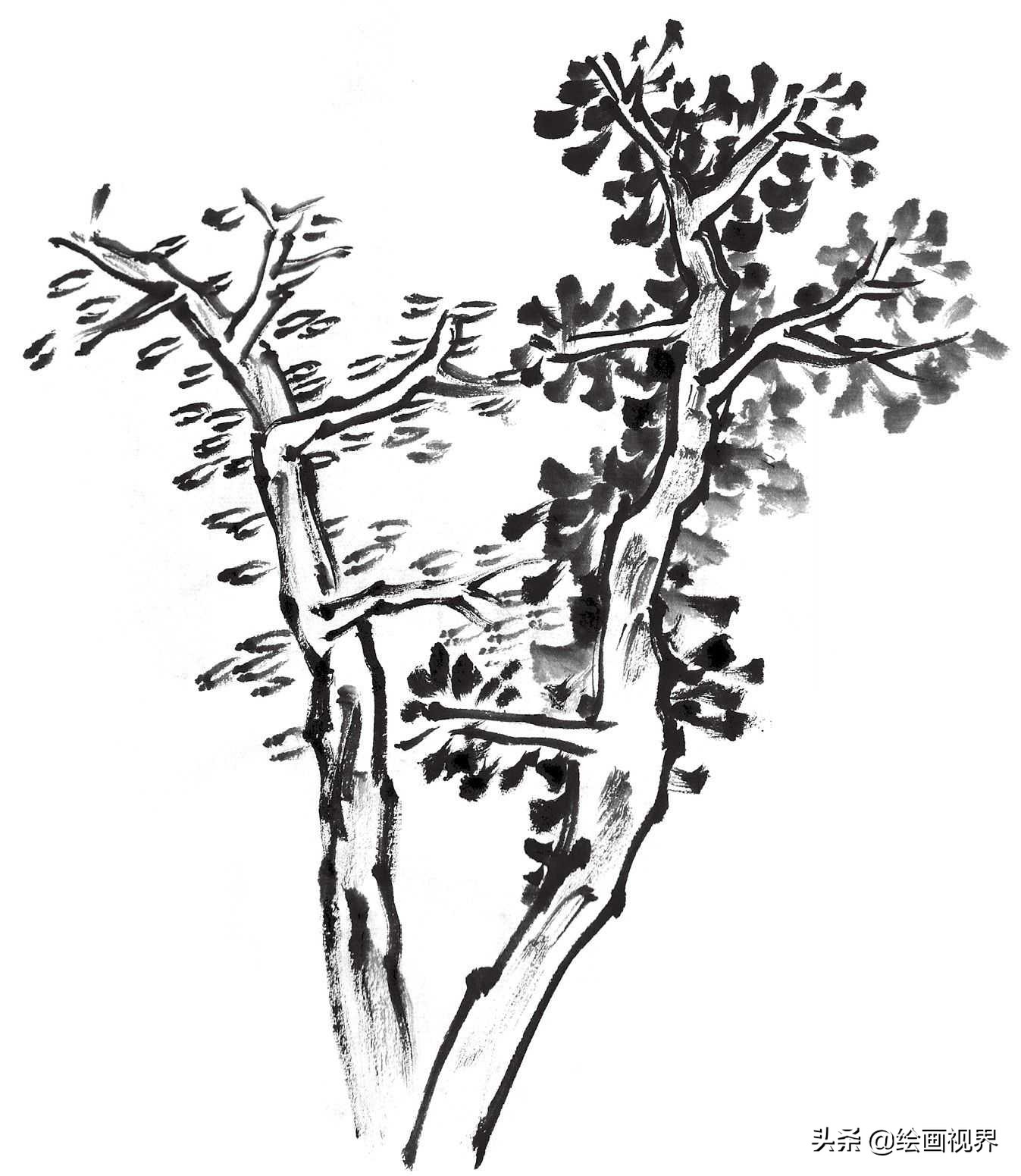国画双钩树的画法入门,国画杂树与山石的画法图片