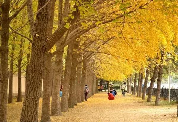 我叫石家庄，这是我2019年最新简历，请多关照！