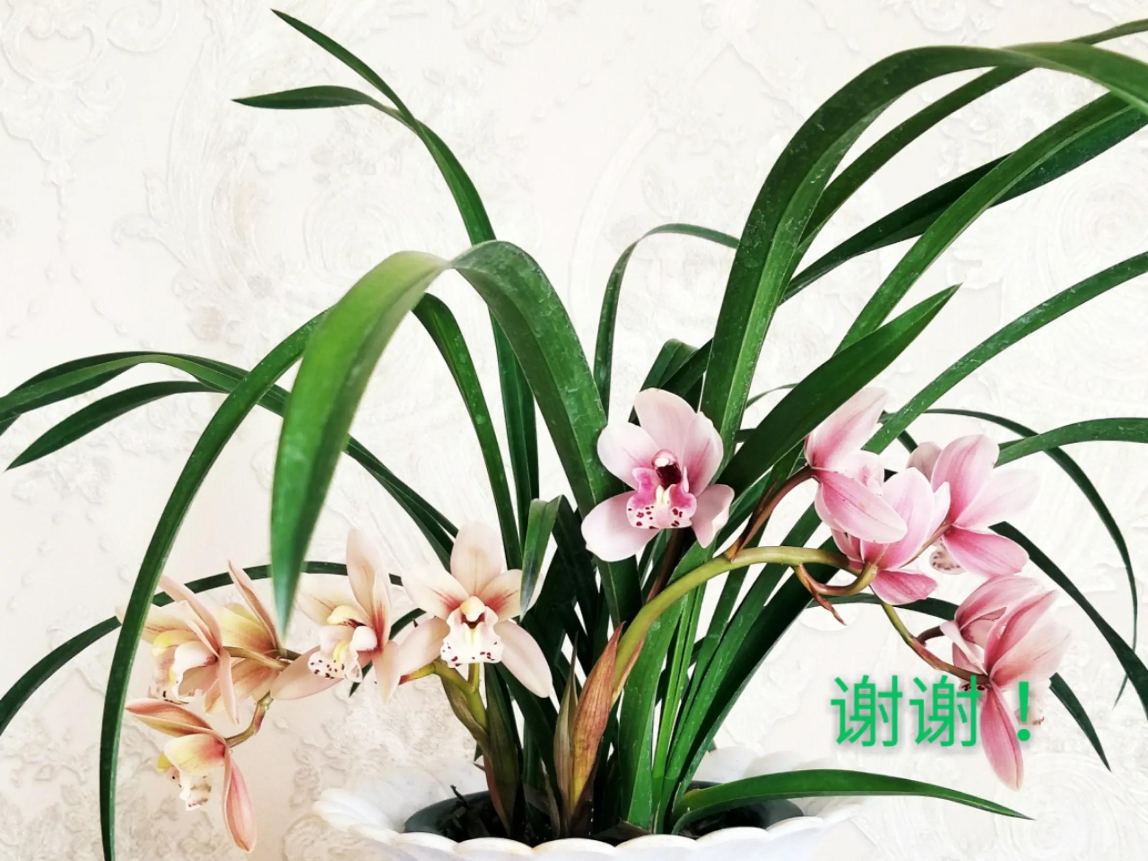 贵州大学8090后的回忆,贵州大学往事