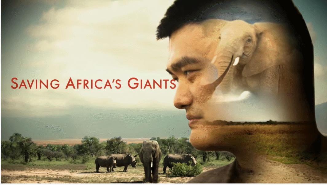 姚明，你永远是这个非洲土著部落的“守护神”