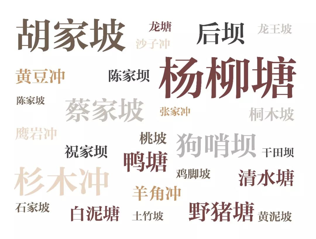 贵州速度，蔚为大观