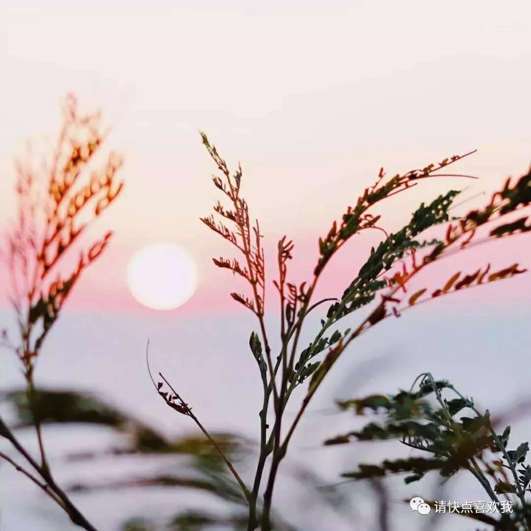努力让自己的心变成太阳,只有努力才会给你自由的感受