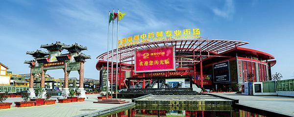 茯苓地黄白芍柴胡黄芪泽泻女贞子,柴胡泽泻女贞子