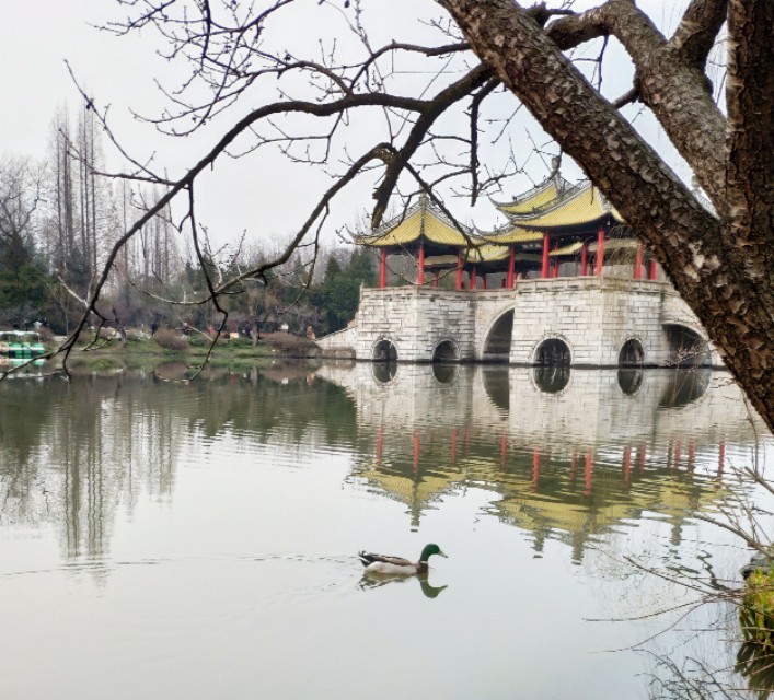 来扬州一定要去瘦西湖美出仙境,记录扬州瘦西湖之旅