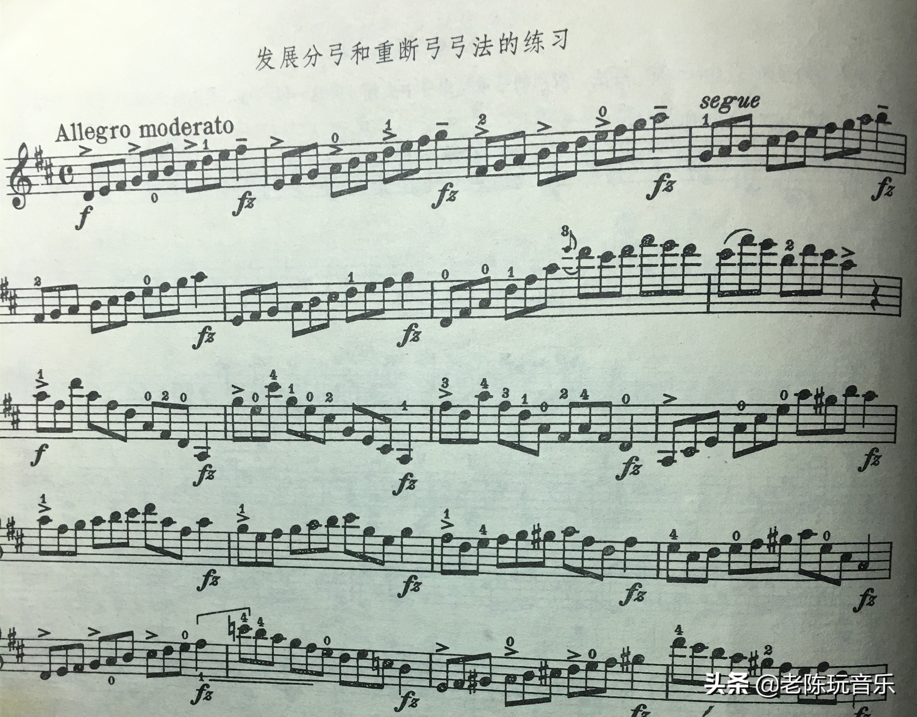 小提琴常用弓法大全让你看个够,舍夫契克小提琴弓法练习详解