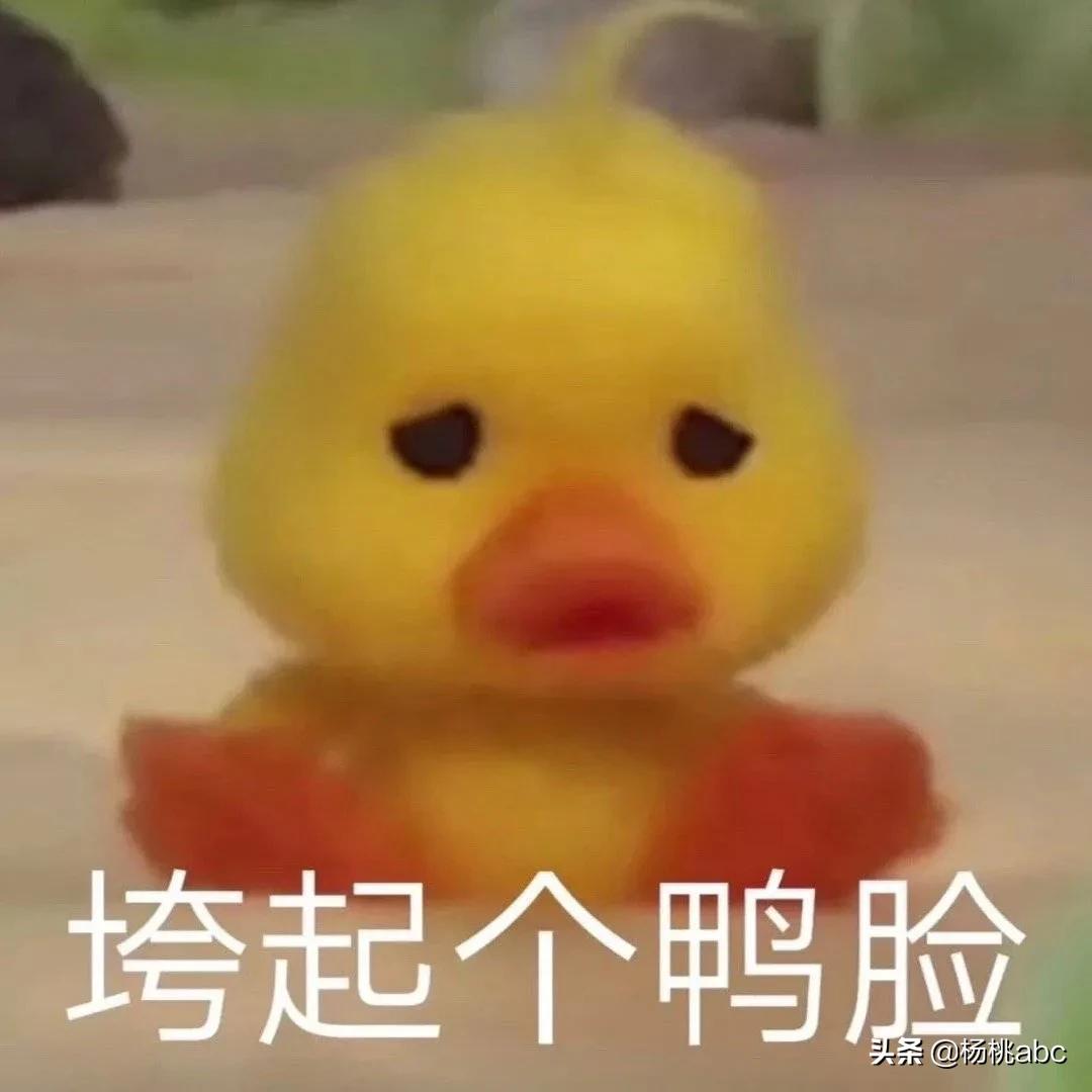 Letsgo!|这个地方竟然这么多综艺节目抢着去?